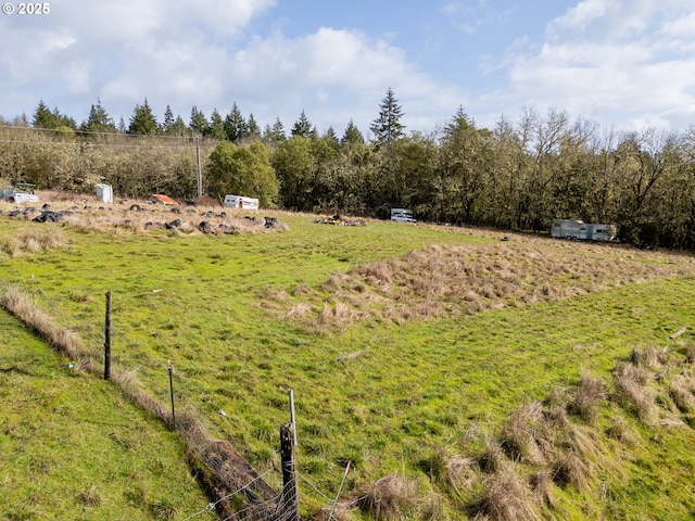 view of yard with a rural view