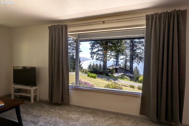 7835 Sunset Dr, Nehalem, OR 97131