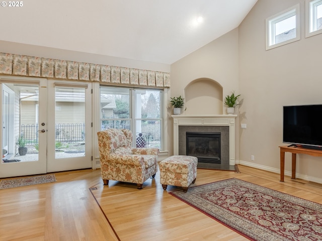 living area featuring baseboards, a healthy amount of sunlight, wood finished floors, and a fireplace