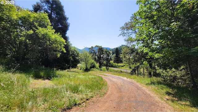 48495 Mcfarland Rd, Oakridge, OR 97463 - view of dirt / gravel road with a mountain view