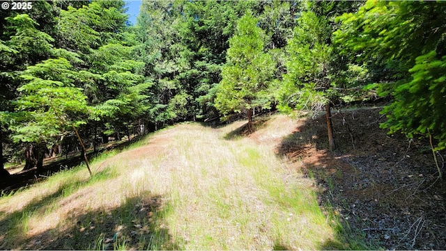 48495 Mcfarland Rd, Oakridge, OR 97463 - view of yard