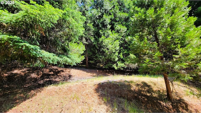48495 Mcfarland Rd, Oakridge, OR 97463 - view of yard