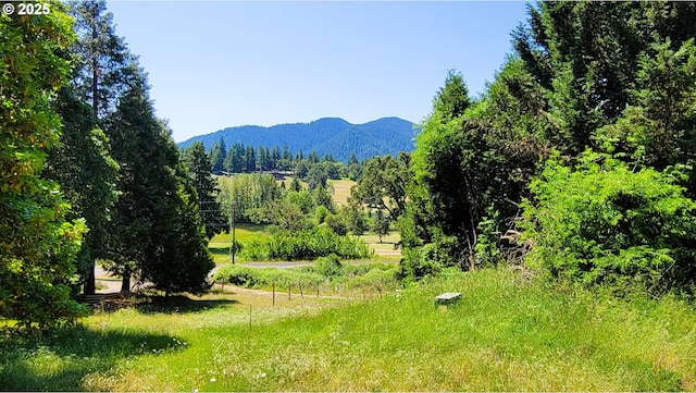 48495 Mcfarland Rd, Oakridge, OR 97463 - mountain view