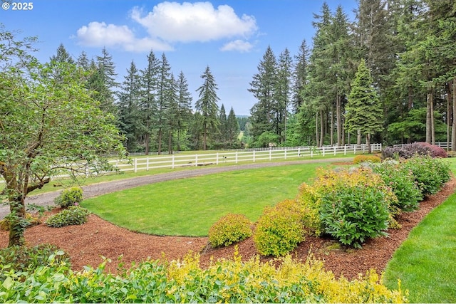 24601 SW 65th Ave, Tualatin, OR 97062 - view of yard featuring a forest view