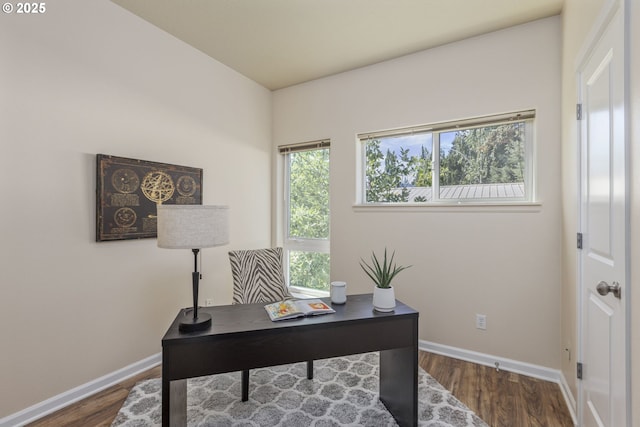 office featuring hardwood / wood-style flooring