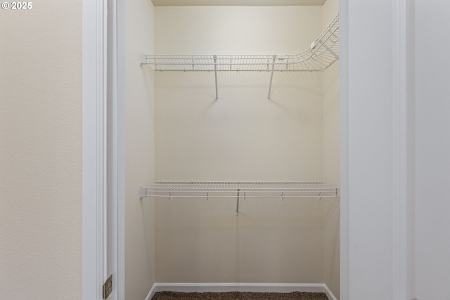 view of closet