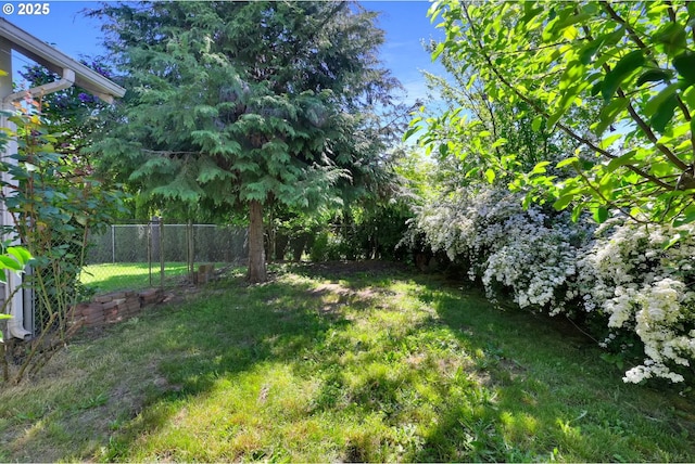 803 Main St, Philomath, OR 97370 - view of yard