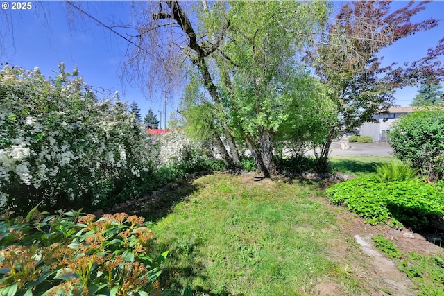 803 Main St, Philomath, OR 97370 - view of yard