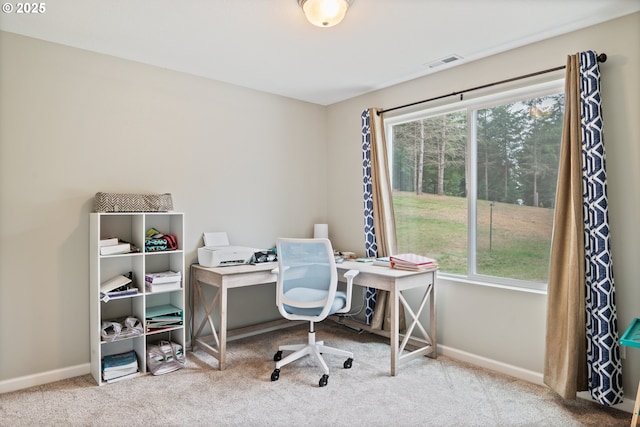 home office with carpet floors