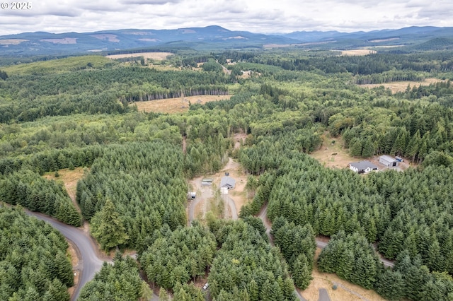 birds eye view of property featuring a mountain view