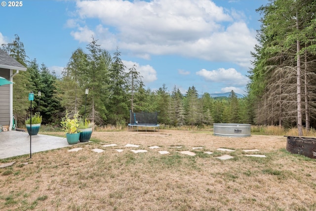 view of yard featuring a trampoline