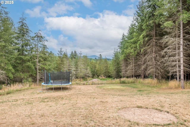 view of yard featuring a trampoline