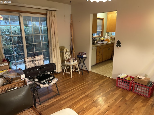 living area with sink and light hardwood / wood-style floors