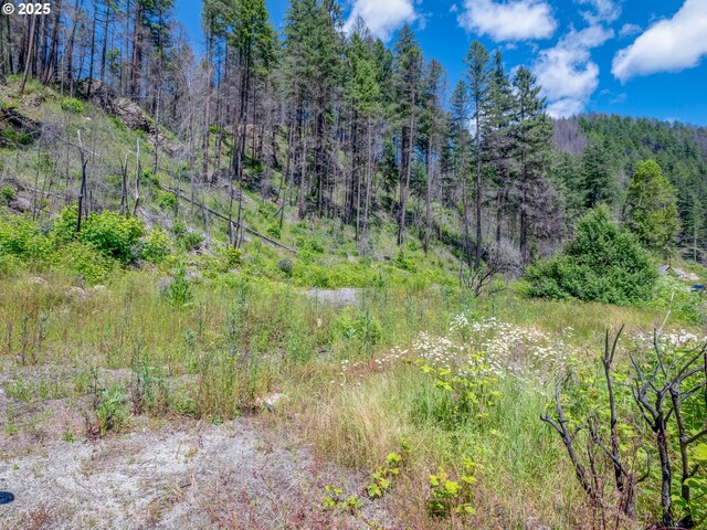 47901 Mckenzie Hwy, Vida, OR 97488