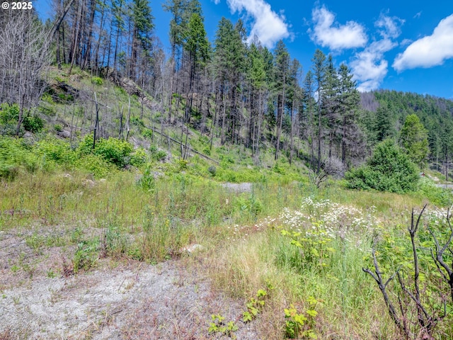 47901 Mckenzie Hwy, Vida, OR 97488