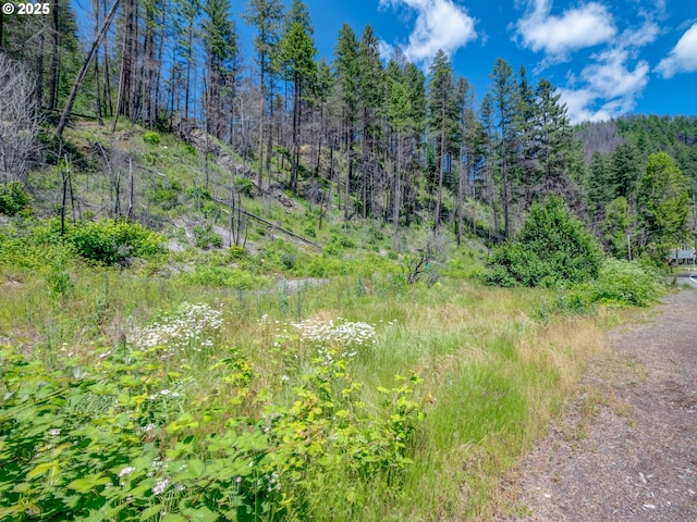 47901 Mckenzie Hwy, Vida, OR 97488