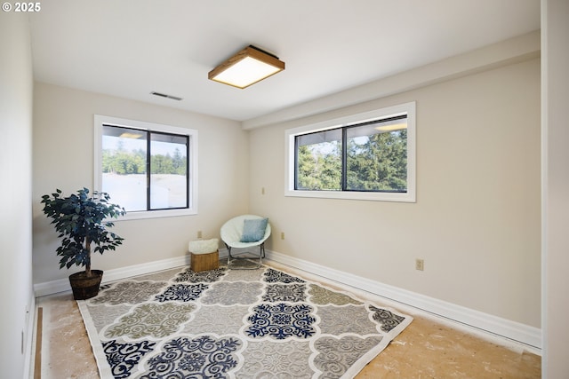 living area featuring a wealth of natural light