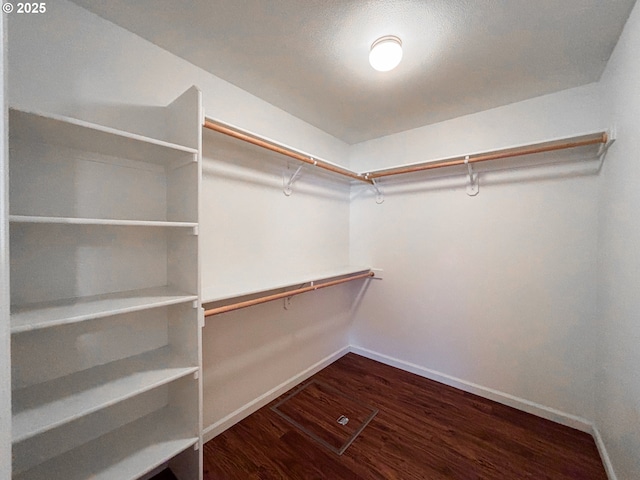 walk in closet featuring dark wood-type flooring