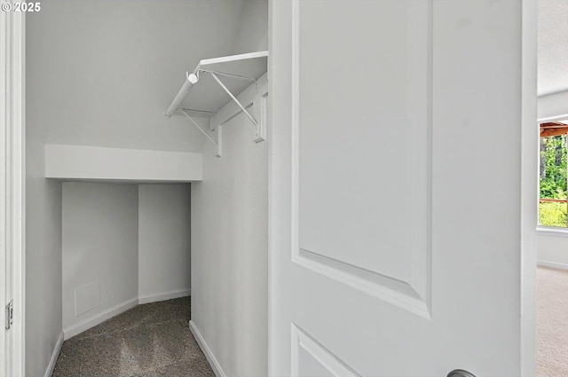 spacious closet featuring carpet