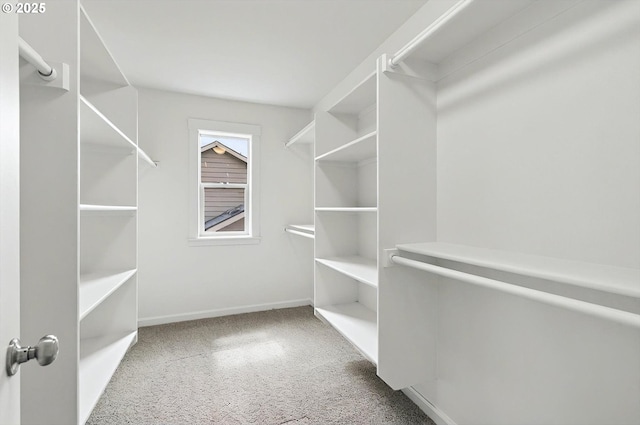 walk in closet featuring carpet floors