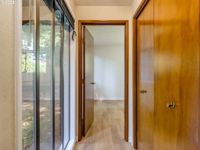 7785 SW W Slope Dr, Portland, OR 97225 - corridor featuring plenty of natural light and light wood-type flooring