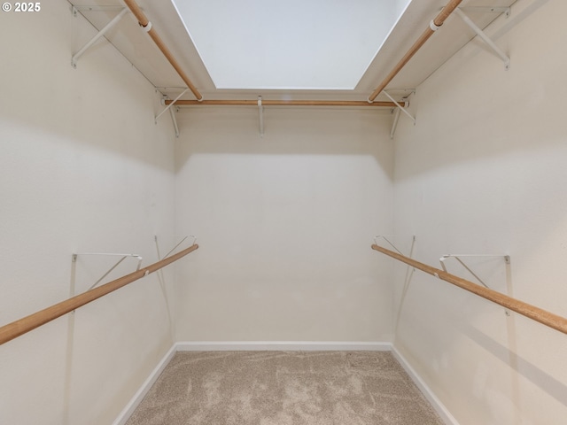 7785 SW W Slope Dr, Portland, OR 97225 - spacious closet featuring carpet floors
