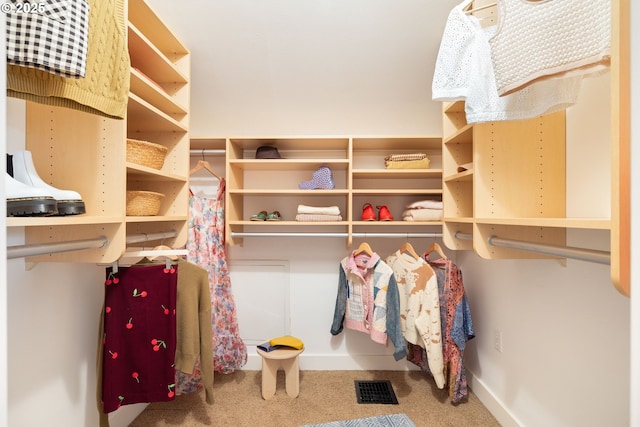 2904 NE 51st Ave, Portland, OR 97213 - spacious closet featuring carpet