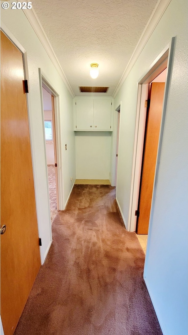 2965 S Myrtle Rd, Myrtle Creek, OR 97457 - hall featuring crown molding, carpet floors, and a textured ceiling