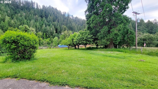 2965 S Myrtle Rd, Myrtle Creek, OR 97457 - view of green lawn with a view of trees