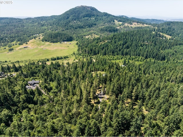 32475 Beymer Rd, Eugene, OR 97405 - aerial overview of property's location featuring a forest and a mountainous background