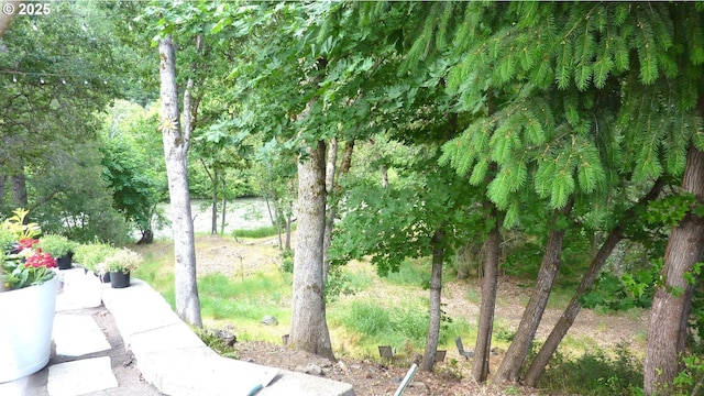 610 Bluff Rd, Klickitat, WA 98628 - view of home's community