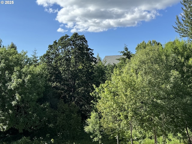 17733 NW Layla Ter Lot 6, Portland, OR 97229 - view of tree filled area