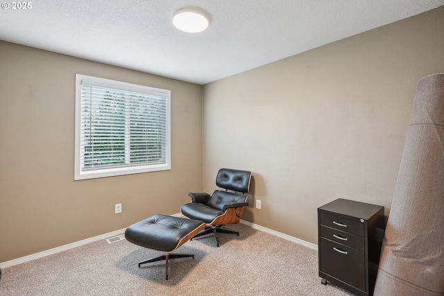 sitting room with light colored carpet and a textured ceiling