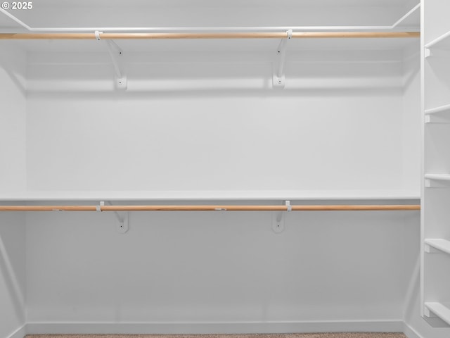 view of walk in closet