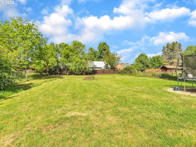 426 NE Hill St, Sheridan, OR 97378 - view of yard featuring a trampoline