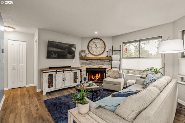 living room featuring a fireplace and wood-type flooring