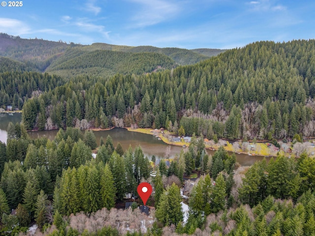 drone / aerial view with a forest view and a water and mountain view