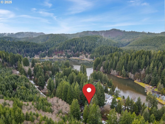 drone / aerial view with a water and mountain view and a wooded view