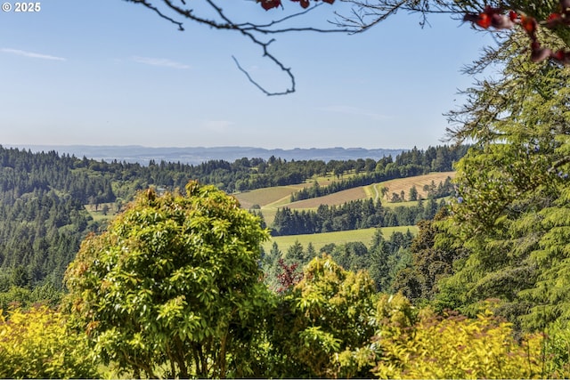 17385 NE Fairview Dr, Dundee, OR 97115 - view of mountain backdrop with a heavily wooded area and rural landscape