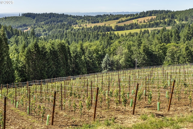 17385 NE Fairview Dr, Dundee, OR 97115 - view of mountain backdrop featuring a forest