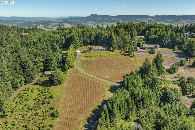17385 NE Fairview Dr, Dundee, OR 97115 - overview of rural landscape featuring mountains and rows of crops