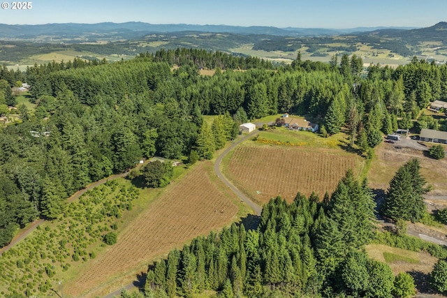 17385 NE Fairview Dr, Dundee, OR 97115 - aerial overview of property's location featuring a mountain backdrop