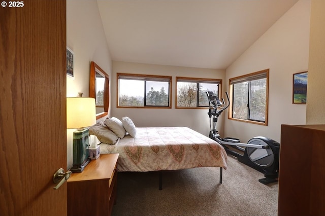 bedroom featuring carpet floors and vaulted ceiling