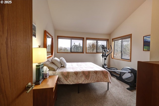 821 5th Ave, Hammond, OR 97121 - carpeted bedroom with lofted ceiling and multiple windows
