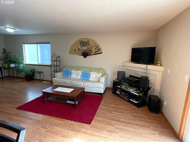 living room with baseboards and wood finished floors