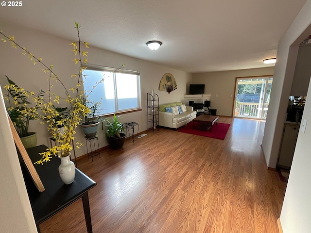 living room with baseboards, wood finished floors, and a fireplace