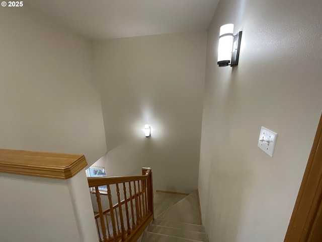 staircase with carpet flooring