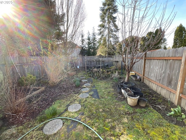 view of yard featuring a fenced backyard