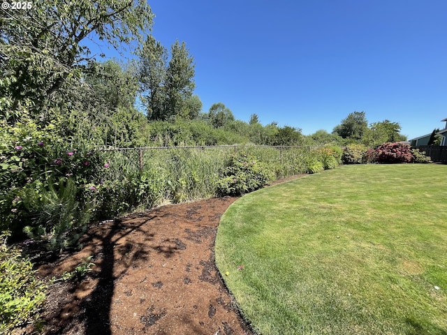 2145 Rock Ledge Dr, Keizer, OR 97303 - view of yard