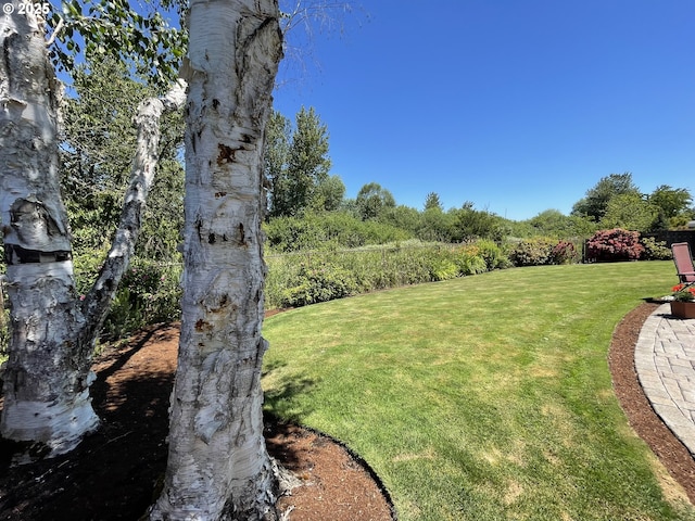 2145 Rock Ledge Dr, Keizer, OR 97303 - view of green lawn